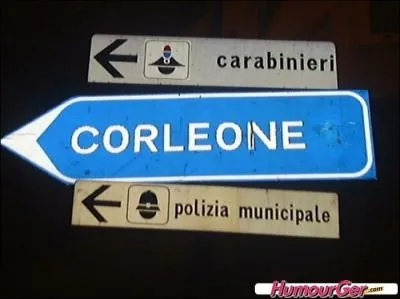 Quelle mafia est dpeinte dans le film  Le Parrain  de Francis Ford Coppola ?