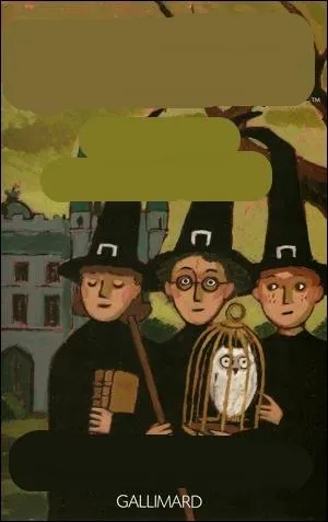 Quel est le titre de ce livre ?