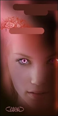 Quel est le titre de ce livre ?