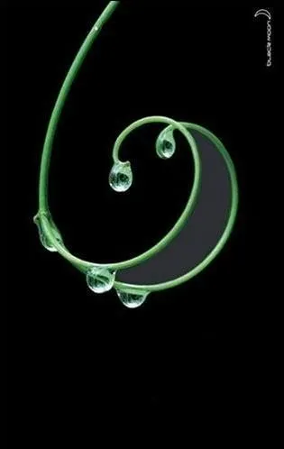 Quel est le titre de ce livre ?