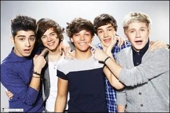 Quel est le membre des One Direction qui a 4 surs ?