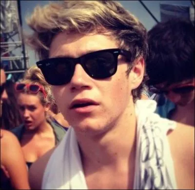 Qui a toujours t le musicien prfr de Niall ?