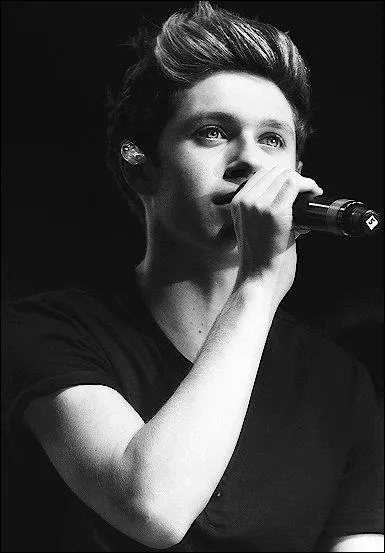 Quel est le nom du grand frre de Niall ?