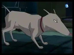 Comment s'appelle le chien d'Odd ?