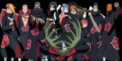 Dans "Naruto Shipp&ucirc;den", comment s'appelle l'organisation qui poursuit Naruto afin de la capturer ?