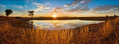 Dans les plaines africaines, le soir, ils viennent s'abreuver !