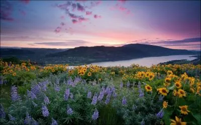 Dans ce magnifique paysage europen, quel prdateur pouvez-vous rencontrer ?