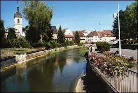 Delle ( Territoire de Belfort ) est chef-lieu ...