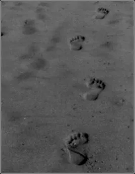 - Pas le moindre signe de vie