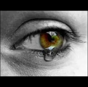 - Moi, je crois que vous devriez, vous, sa mre, le prendre par les sentiments.