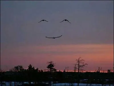 - Eh bien ! moi, je vais essayer de lui parler.