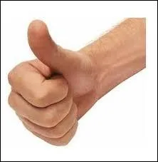 - Eh bien, vous voyez, tout s'est trs bien pass