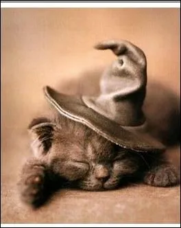 En Occident, ce sont les Romains qui introduisirent les premiers chats domestiques. A la fin du XIIe sicle, qui dclencha  leur encontre une perscution froce qui dura prs de 450 ans ? :