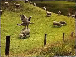 Dans la cour de rcration des enfants  estan jugando al saltacabrillas  pendant que leurs amis anglais :