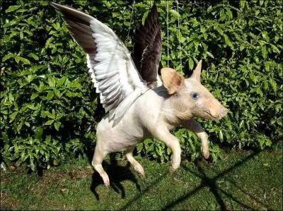 Voil bien un quiz d'un genre indfinissable ! Si seores.