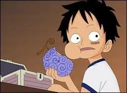 Quel est le fruit du dmon de Luffy ?
