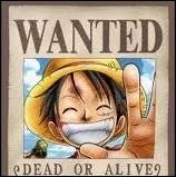 Quelle est la prime de Luffy ? ( Aprs l'arc de MarineFord )