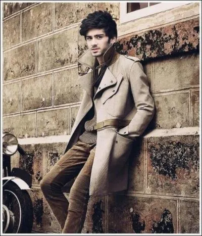 Quel est le talent cach de Zayn ?