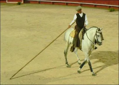 Quelle est cette race ?