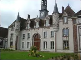 Dans quel arrondissement se trouve Senonches ?