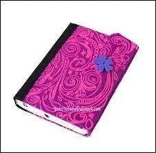  qui appartient ce journal ?