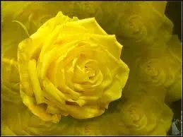 Quelle est cette couleur ?