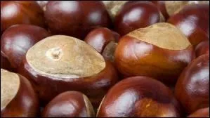 Quelle est cette couleur ?