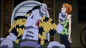 Qui a envahi l'le de Nami ?