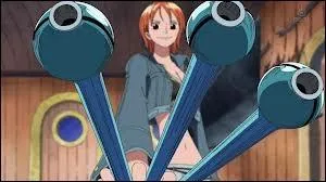 Quelle arme possde-t-elle ?