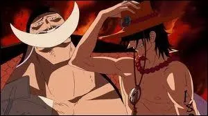 De quel quipage Ace fait-il partie ?