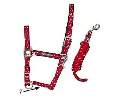 Bon, vous tes allez chercher un autre licol, et cette fois c'est cette partie qui manque ! ( croire que vous avez la poisse aujourd'hui... )