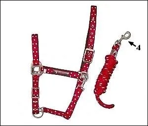 Bon, au 3e essai c'est bon, votre licol n'a aucun problme. Maintenant c'est la longe... (quelqu'un  une dent contre vous, c'est sr ! )