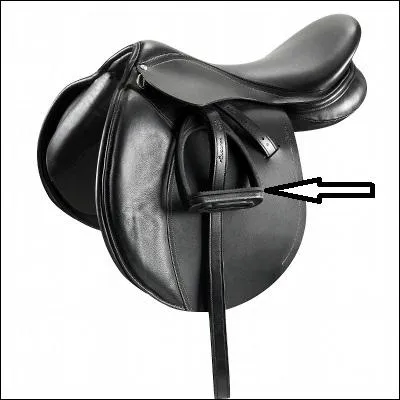 Vous sellez votre cheval, et l, choc, il vous manque une partie ! Plus aucun doute, vous avez la poisse (ou alors c'est l'auteur de ce quizz qui est compltement pervers... ). Que manque-t-il ?