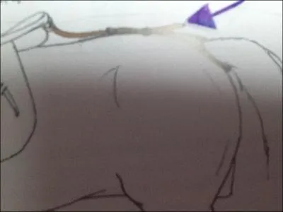 La croupire sert ...