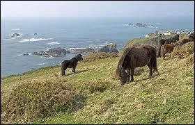Quel est le LAND insulaire de la photo situ en Mer du Nord ?