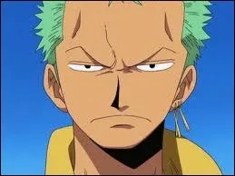 Comment Zoro se fait-il appeler ?