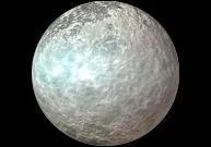 Quelle est cette plante ?