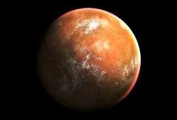 Quelle est cette plante ?