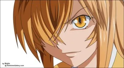 De quel type est le dragon de Sonsaku Hakufu ?