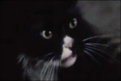 Comment s'appelle ce personnage ?