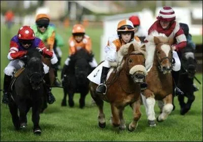 Quelle est la vitesse moyenne du galop ?