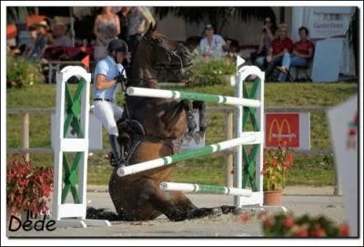 Une barre, un refus ou une drobade cote combien de points en concours (ce n'est pas une question pour un galop mais c'est bon  savoir) ?