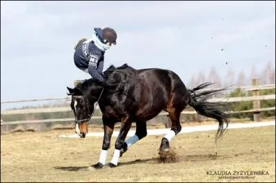 En carrire ou mange la priorit est  :