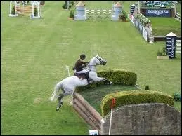 Quel est le nom de cet obstacle ?