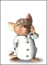 Comment s'appelle cette souris ?