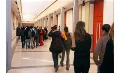 De quoi les genius ont-ils peur ?