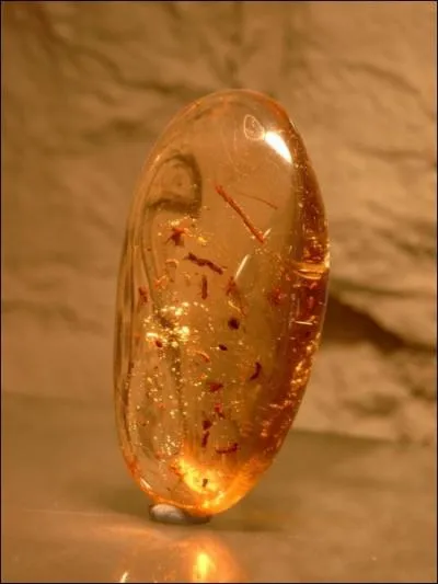 Quelle rsine fossilise est utilise en bijouterie comme pierre semi-prcieuse ?