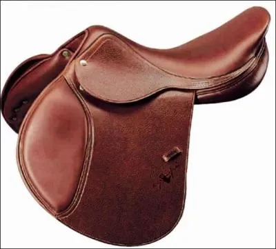 Laquelle de ces selles est gnralement une selle pour poneys