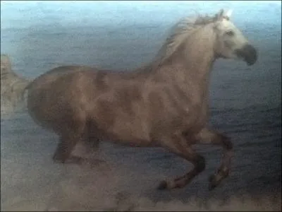 Comment s'appelle l'nergie du cheval naturelle ou acquise par le travail qui gnre le mouvement ? (c'est une disposition de la volont du cheval de se porter en avant. )