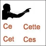 Il faut maintenant choisir le bon adjectif dmonstratif.